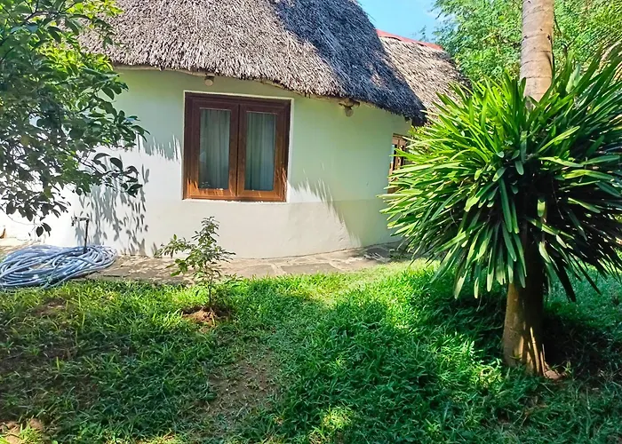 The Makuti Breeze House